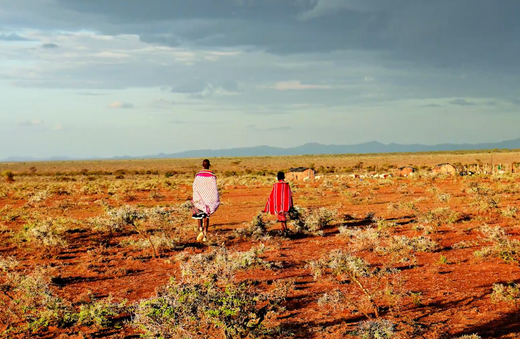 Discover African Safari Adventures and Wildlife | ASSOULINE