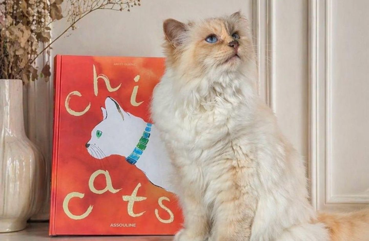 A Day In The Life of Choupette