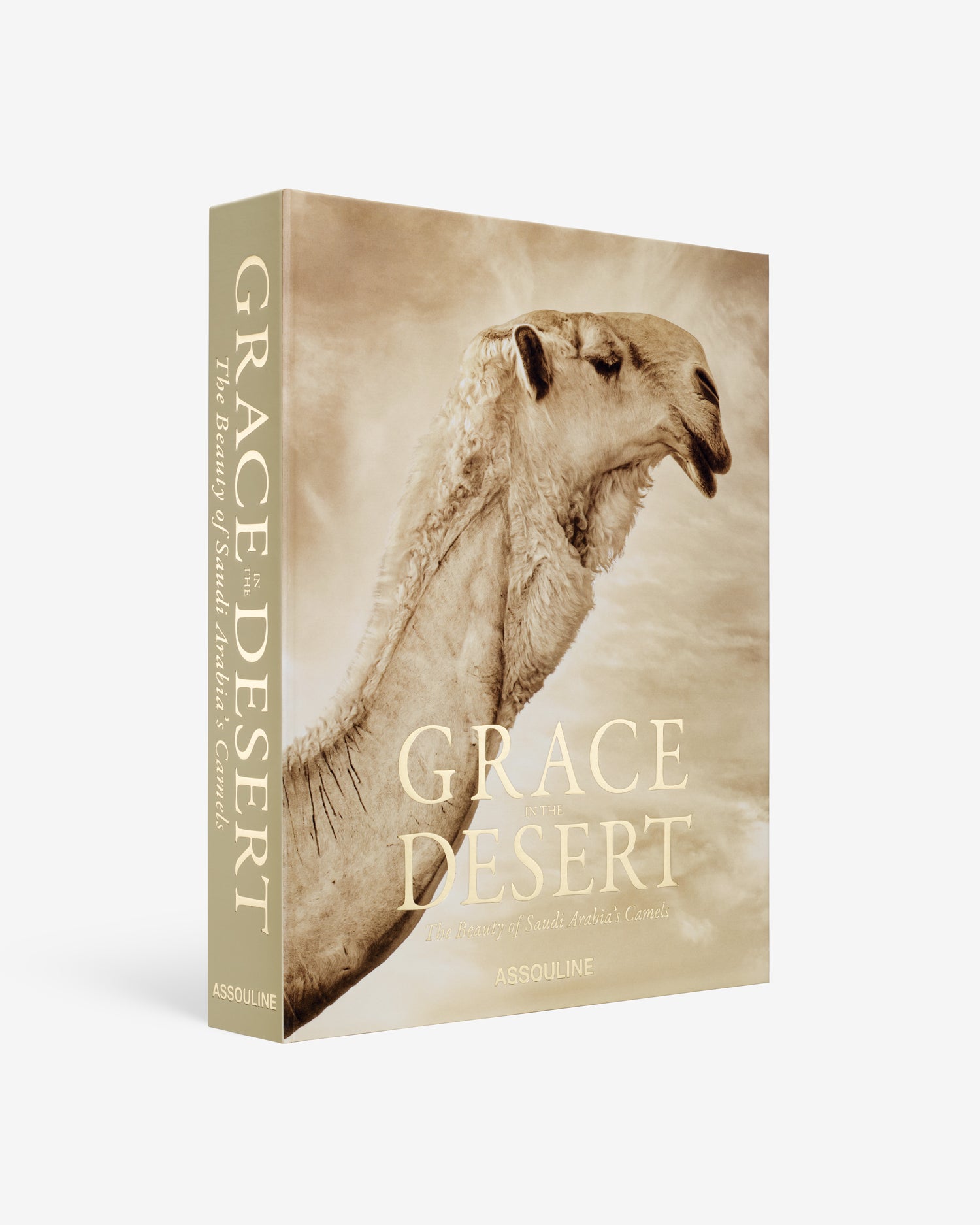 Grace in the Desert: Saudi Arabia's Camels Book | ASSOULINE