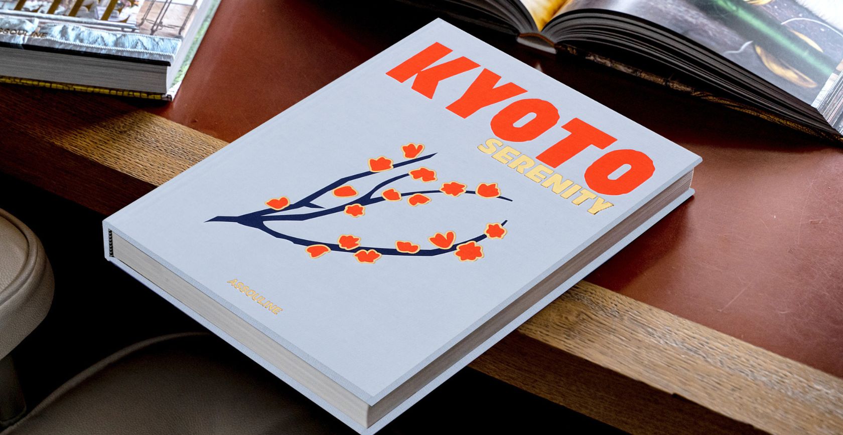 Travel Series - ASSOULINE
