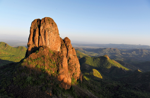 Discover African Safari Adventures and Wildlife | ASSOULINE
