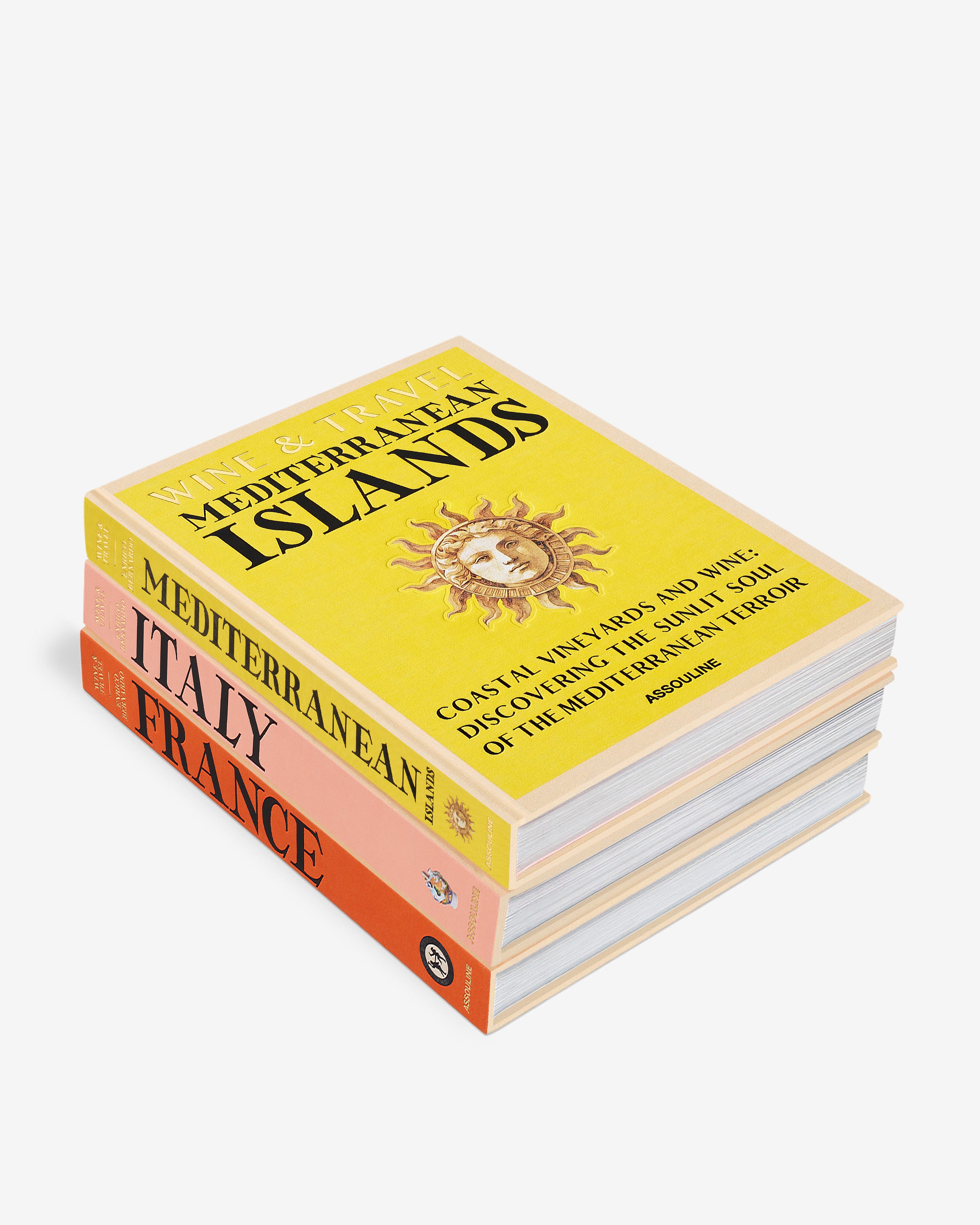 Wine & Travel Europe Gift Set | ASSOULINE