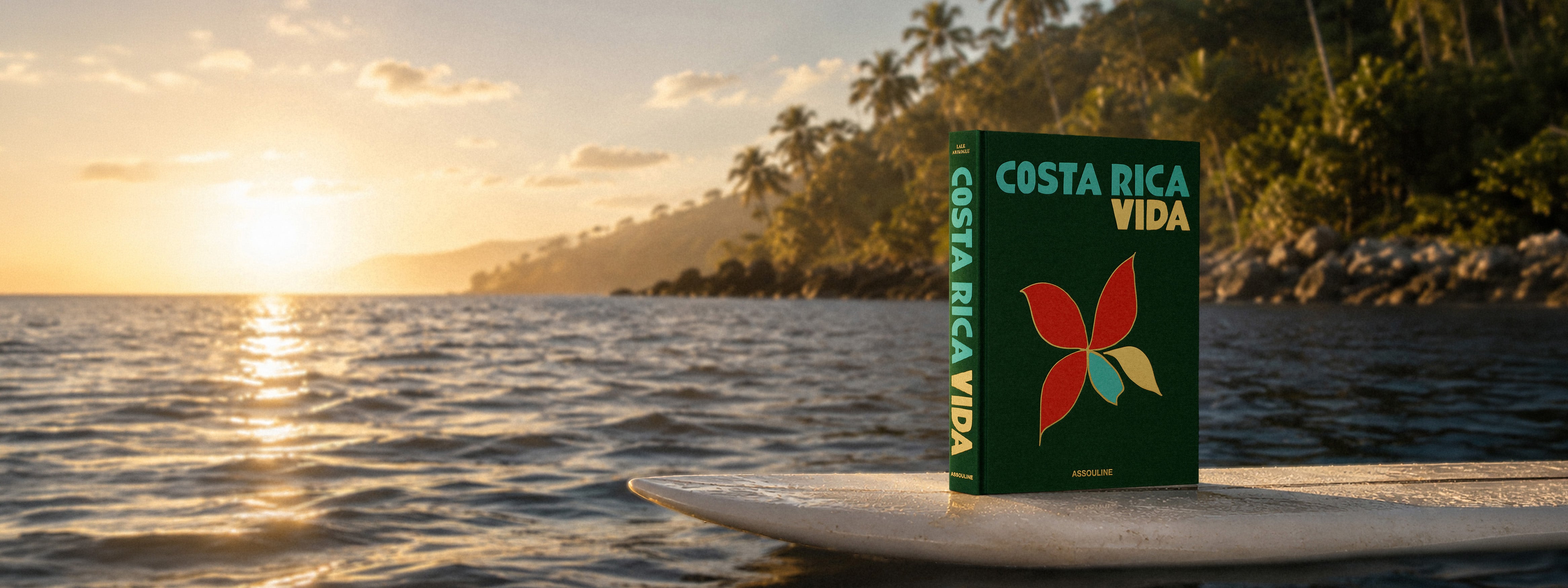 Designer Coffee Table Books & Luxury Gifts | ASSOULINE