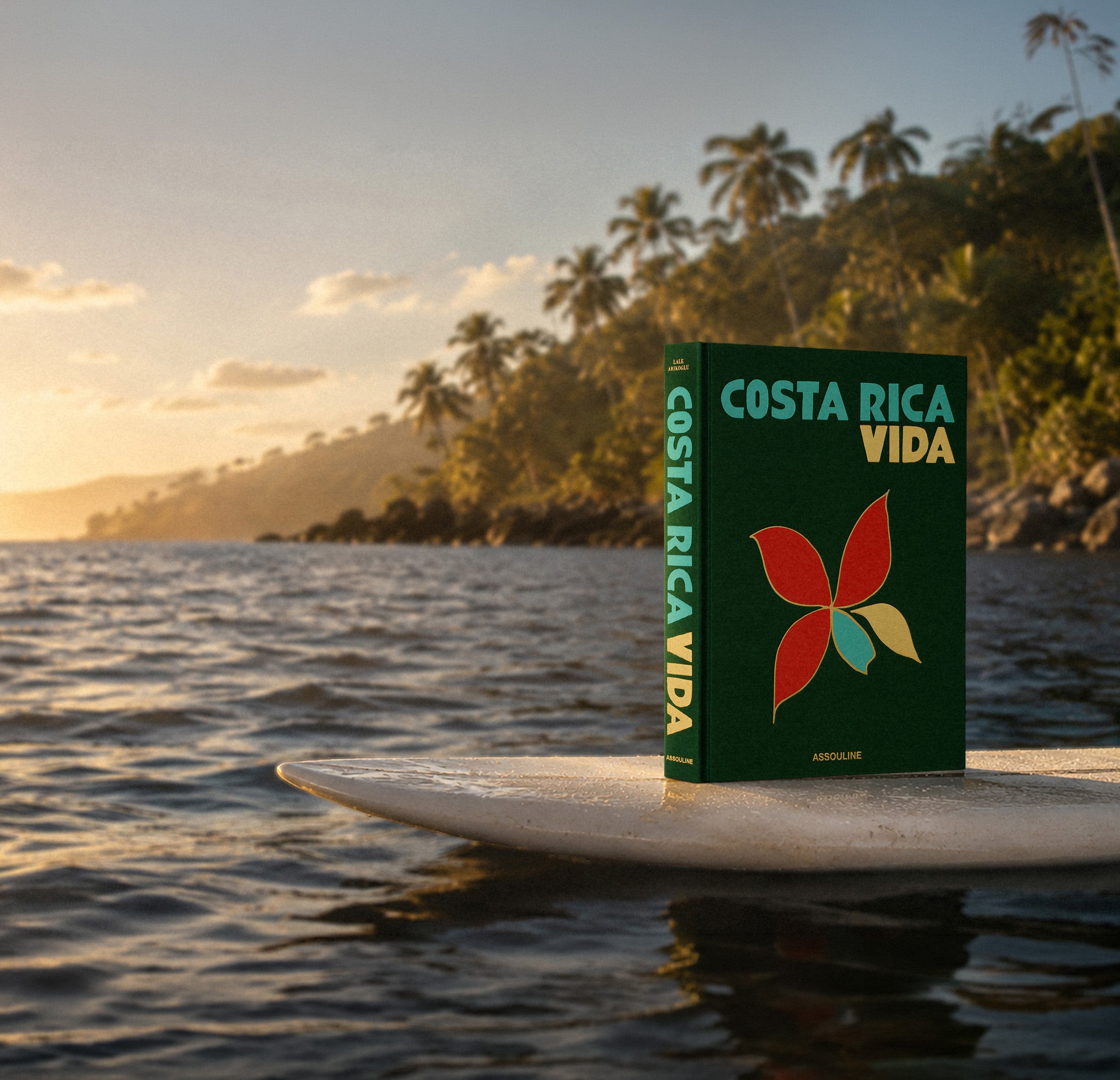 Designer Coffee Table Books & Luxury Gifts | ASSOULINE