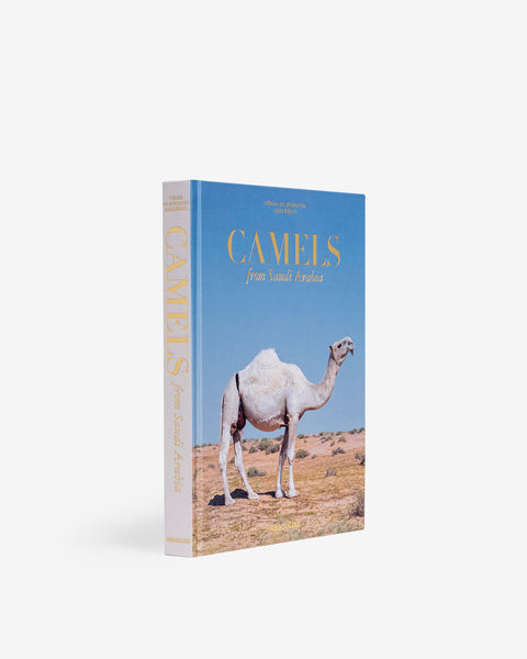 camel cigarettes nepal Cigarette VINTAGE EMPTY PACK a camel Camel Original 20's - Cheers