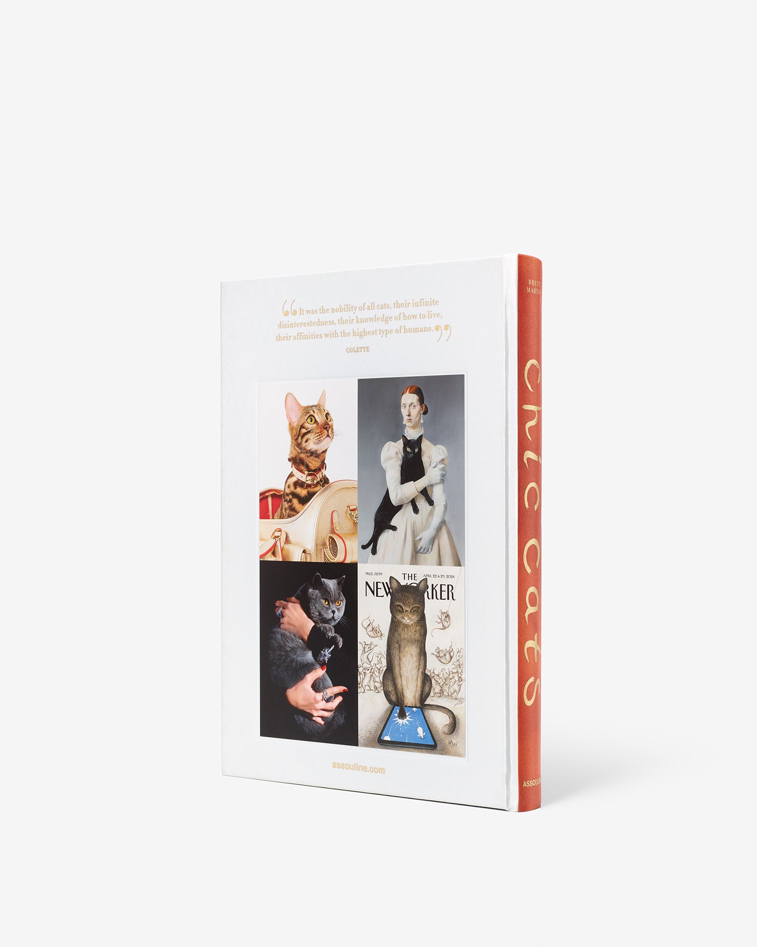 Chic Cats Coffee Table Book | ASSOULINE
