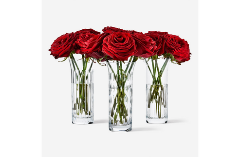 The Ultimate Valentine's Day Gift Guide | ASSOULINE