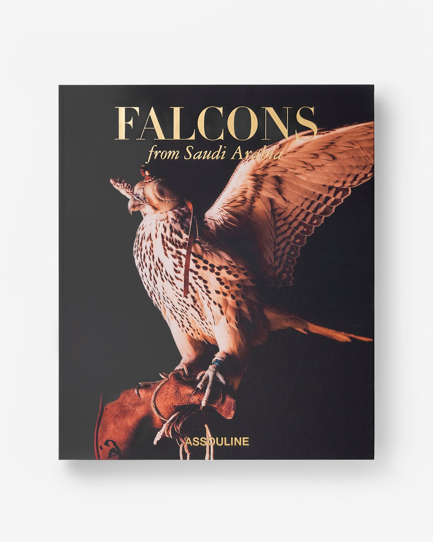 Falcons from Saudi Arabia Coffee Table Book | ASSOULINE
