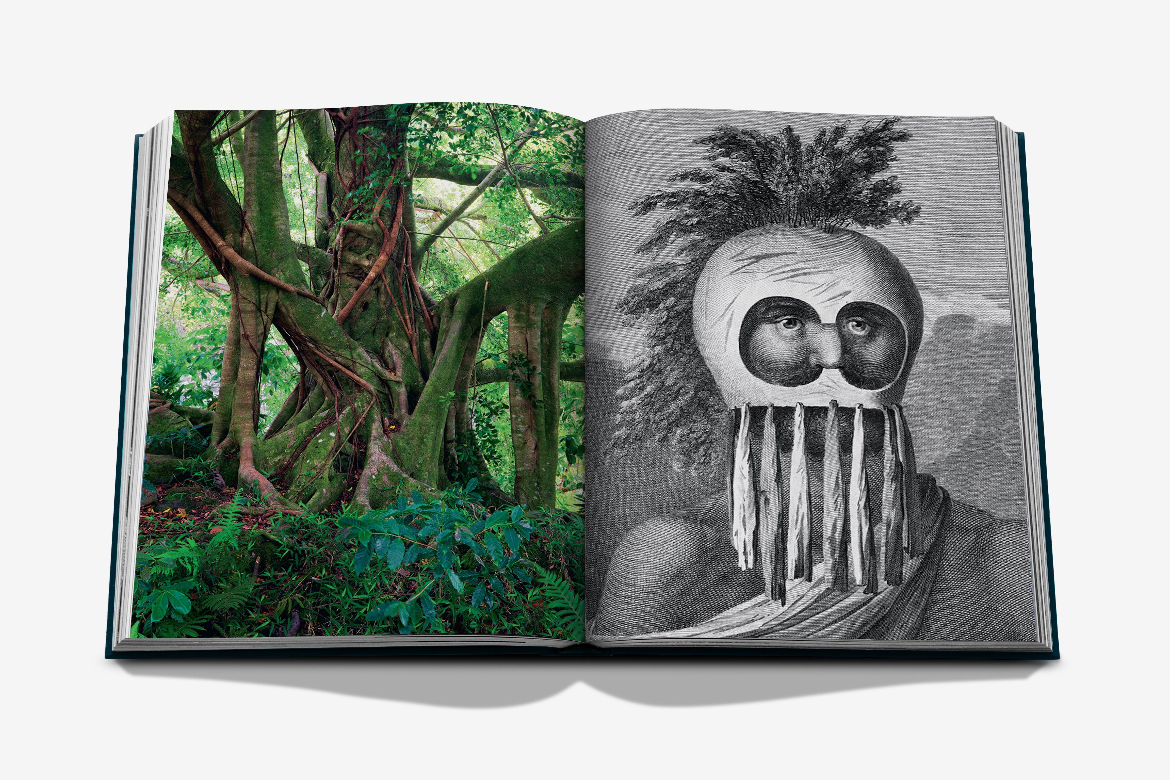 Pacific Islands: James Cook Voyages Book | ASSOULINE