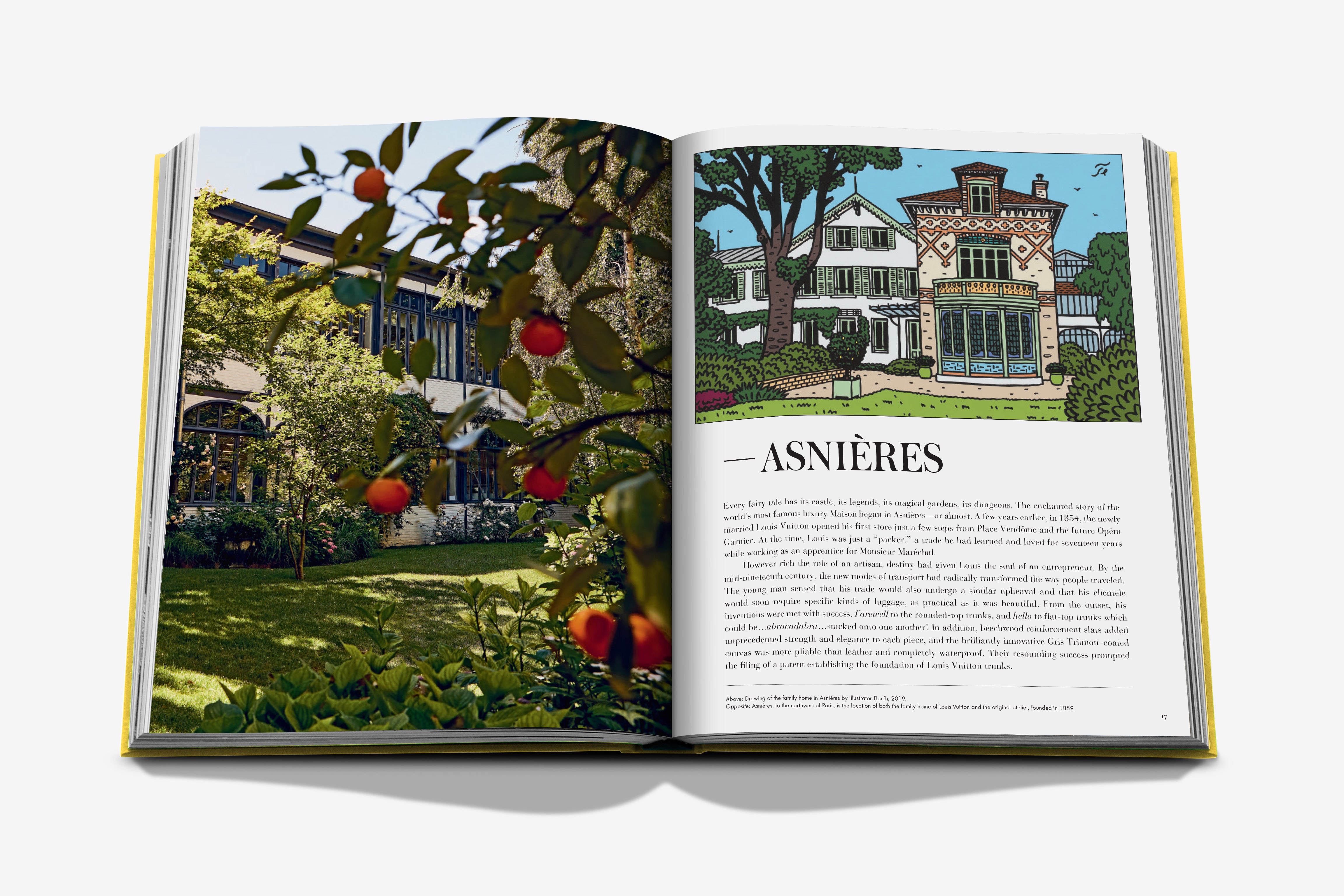 From Louis to Vuitton Coffee Table Book | ASSOULINE
