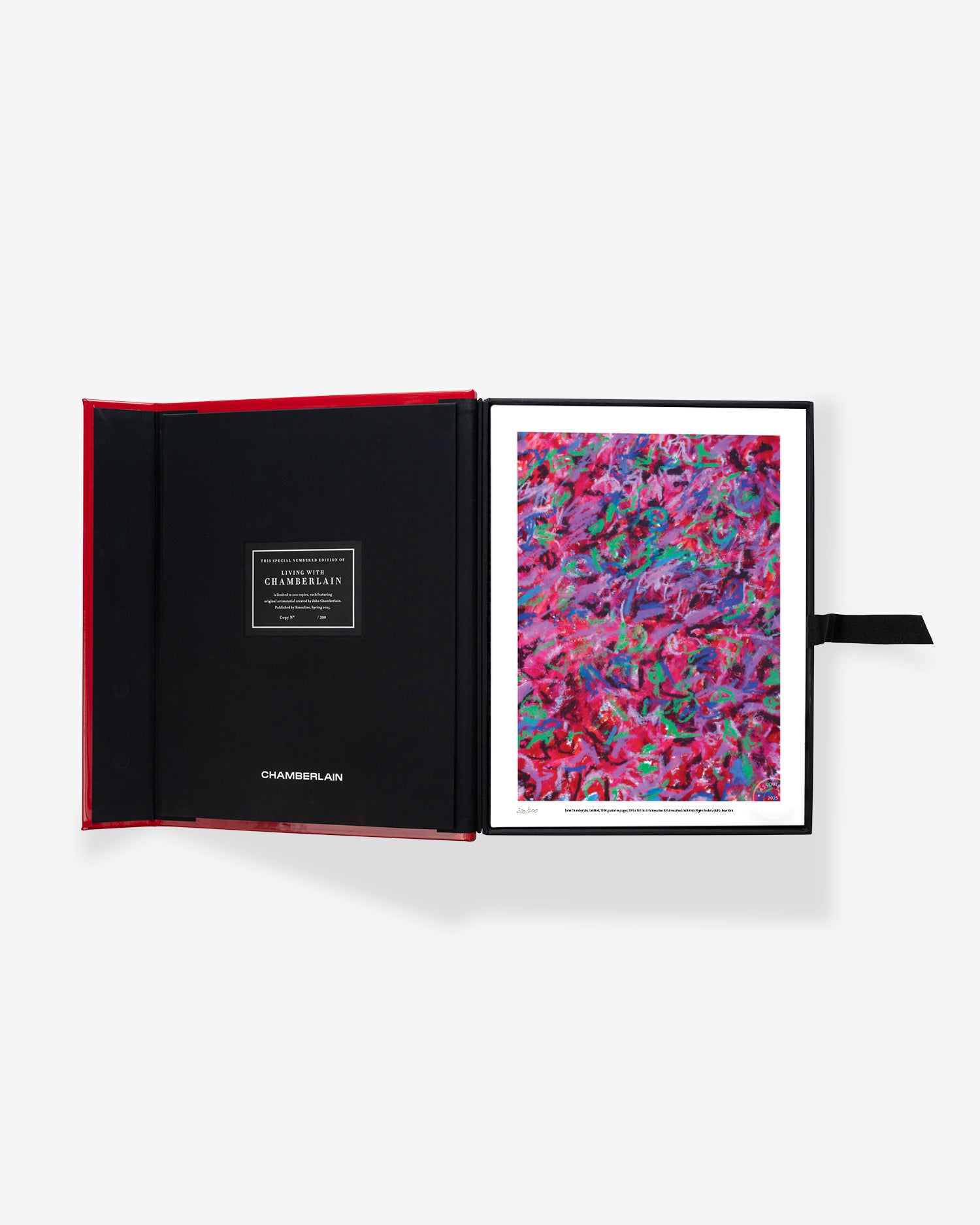 Living With Chamberlain: Special Edition | ASSOULINE
