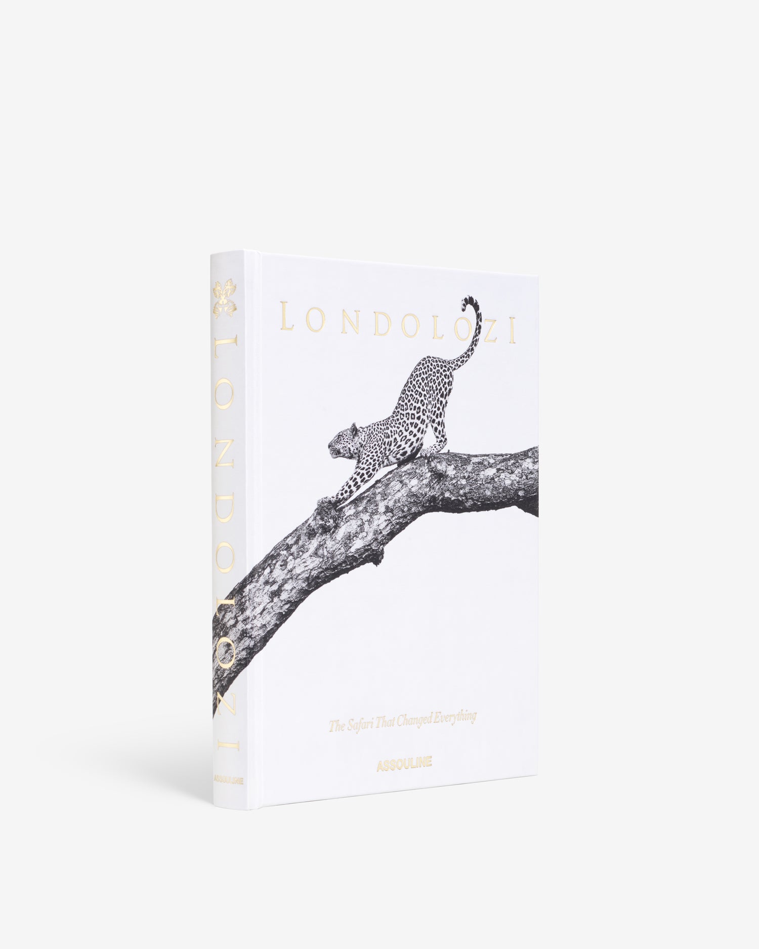 Londolozi Safari Coffee Table Book | ASSOULINE