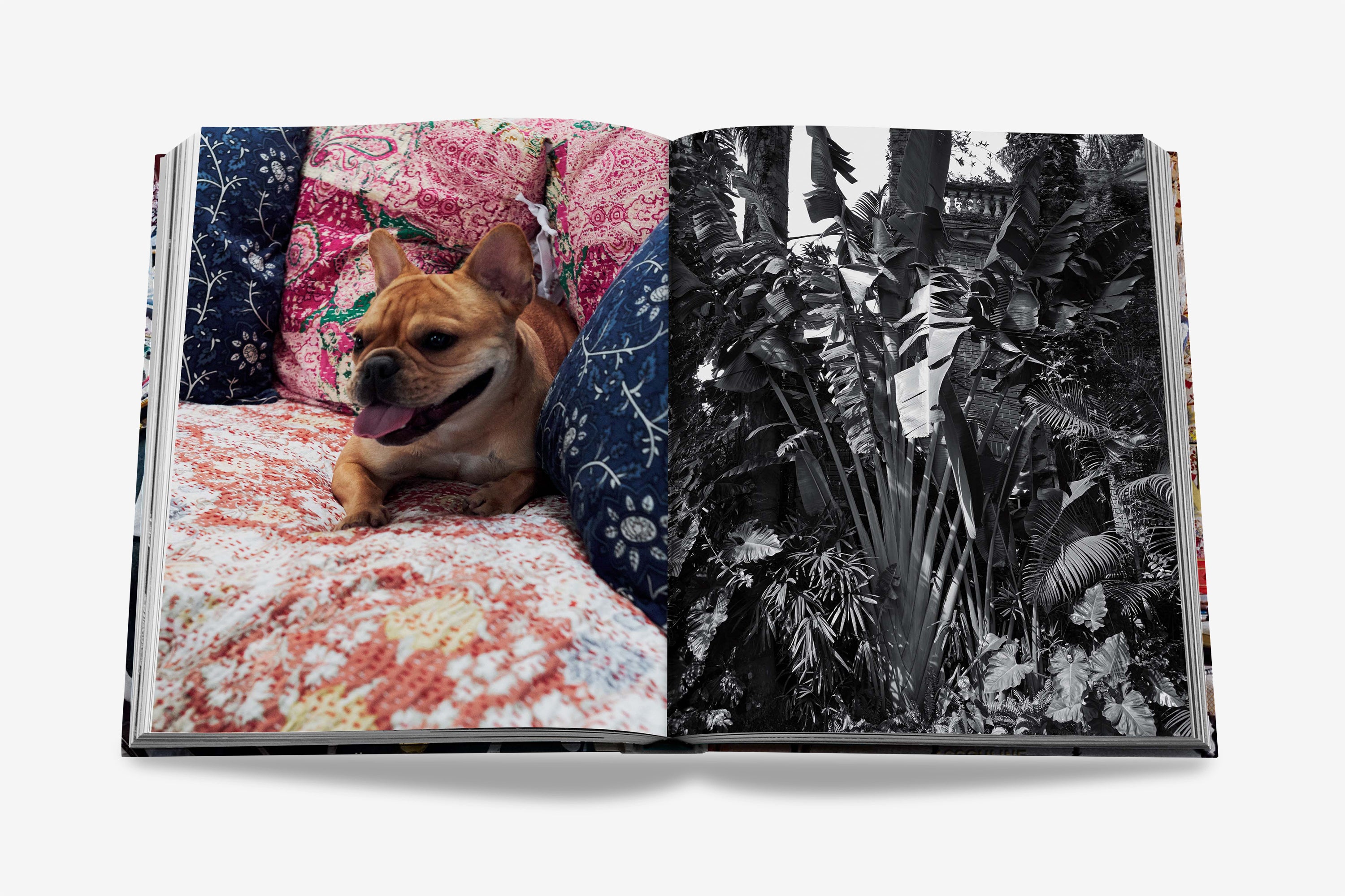 Maximalism by Sig Bergamin - Coffee Table Book | ASSOULINE