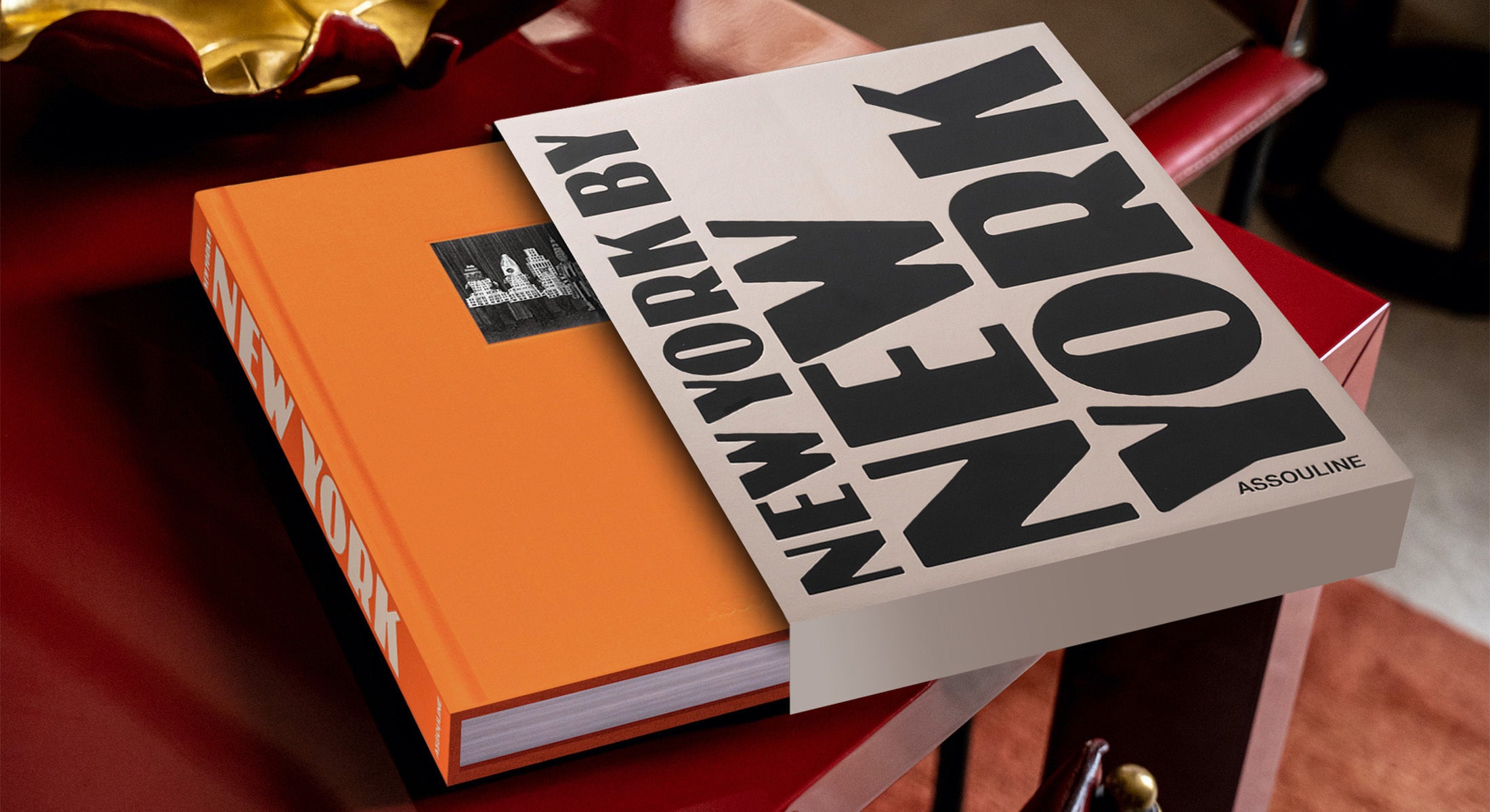 [2007] THE LIGHT OF NEW YORK アスリーヌ社 The Light of New York - Andre Aciman: 9782759401741 - AbeBooks