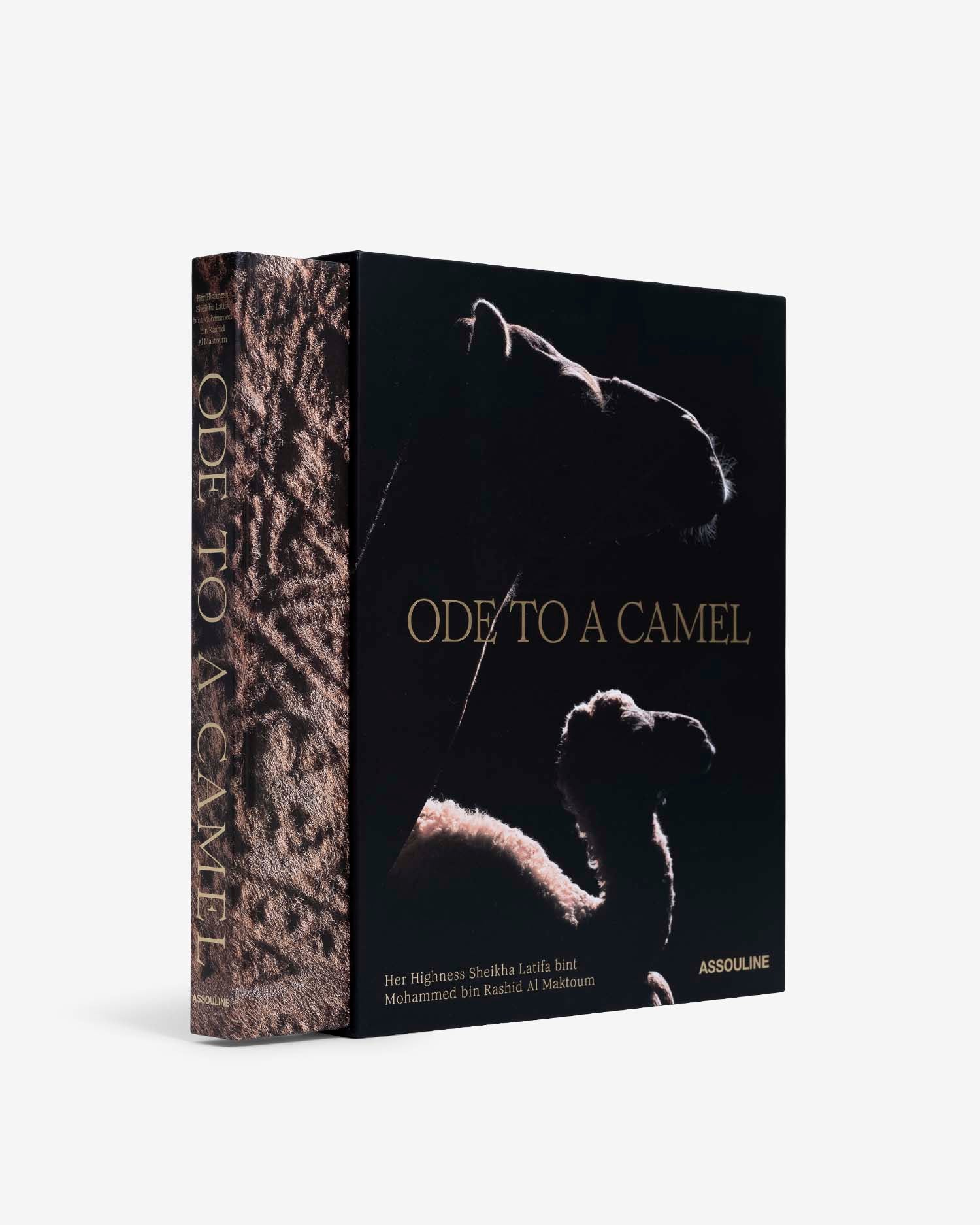 Ode to a Camel Coffee Table Book | ASSOULINE