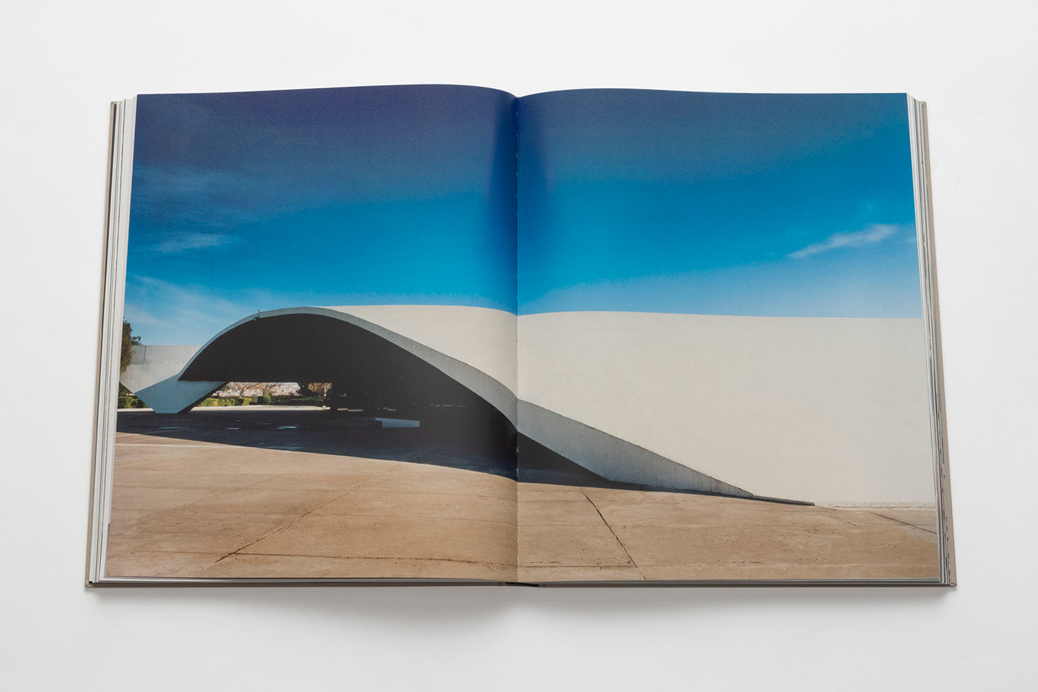 Oscar Niemeyer Architecture Coffee Table Book | ASSOULINE