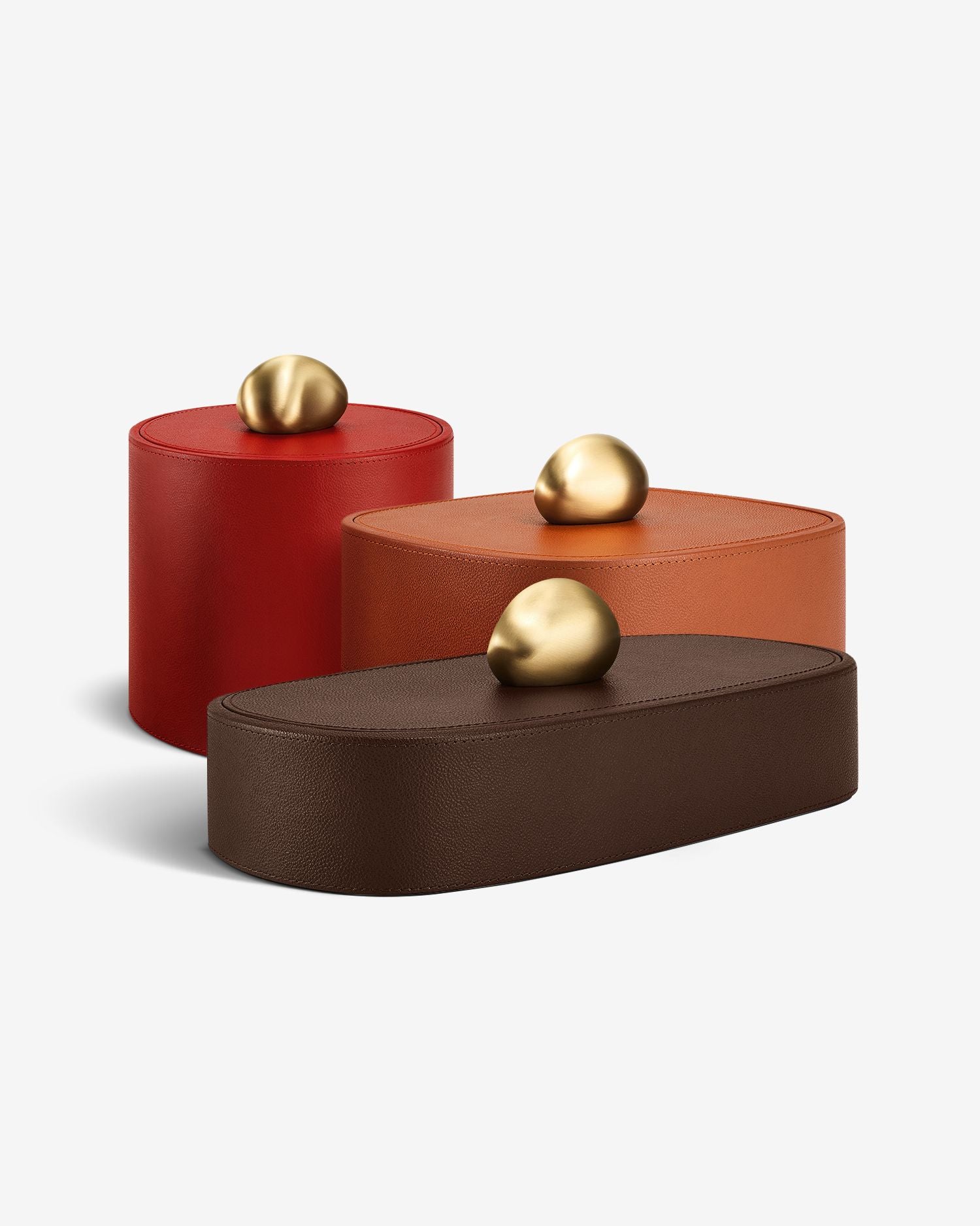 Designer Coffee Table Books & Luxury Gifts | ASSOULINE