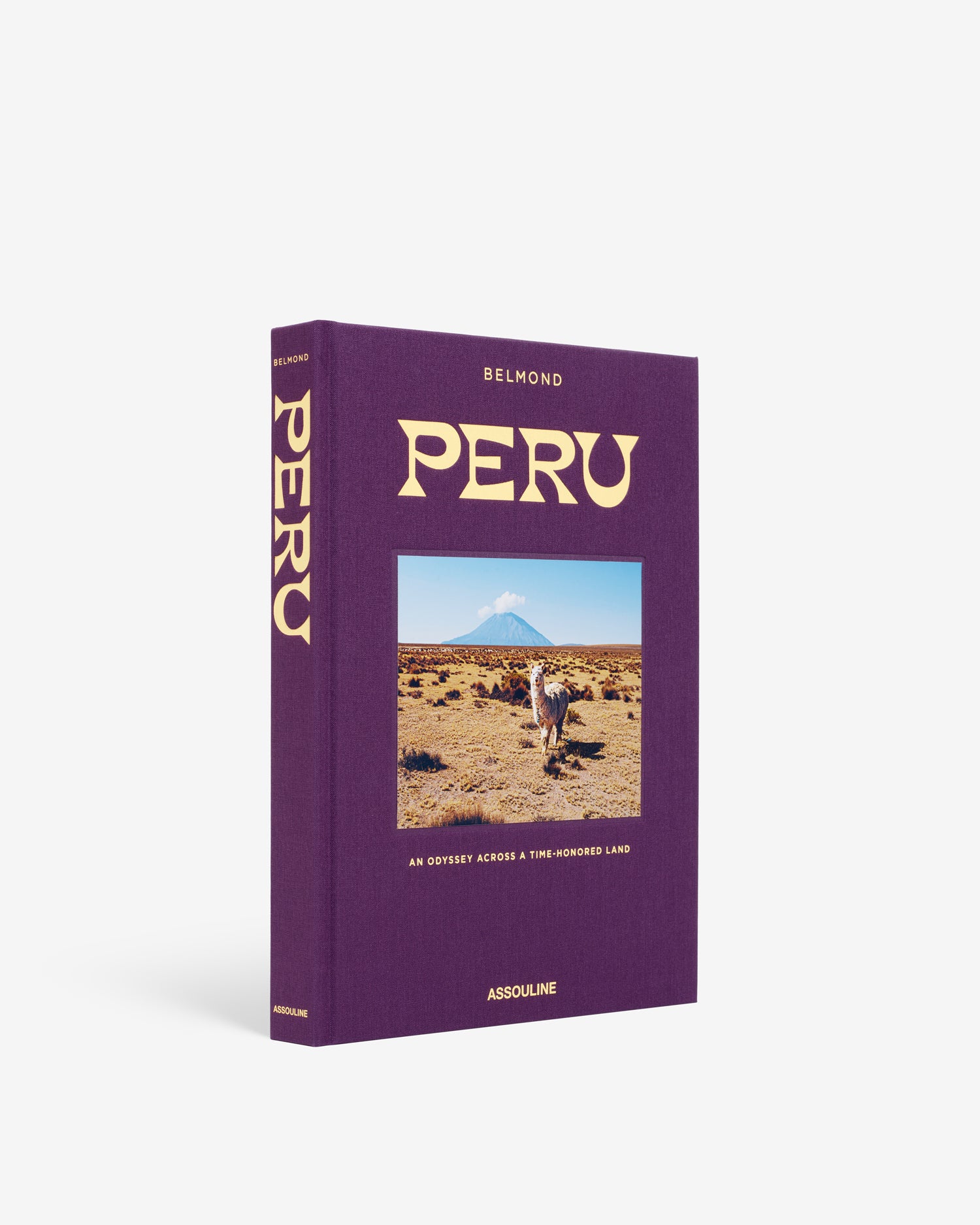 標本 Peru Colobgaster lesplendens 41mm Peru: An Odyssey Across a Time-Honored Land | ASSOULINE