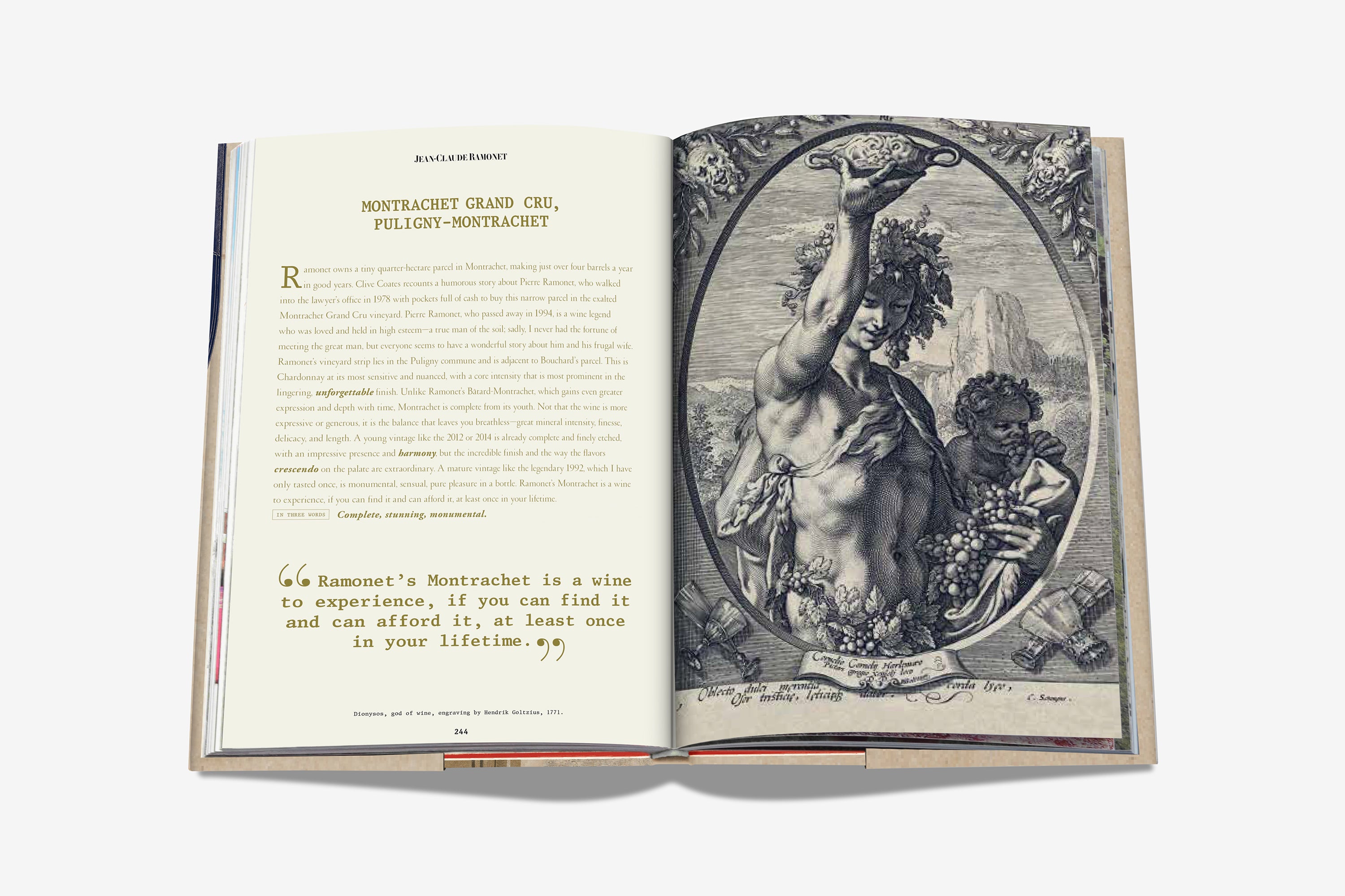 The 100: Burgundy book by Jeannie Cho Lee | ASSOULINE