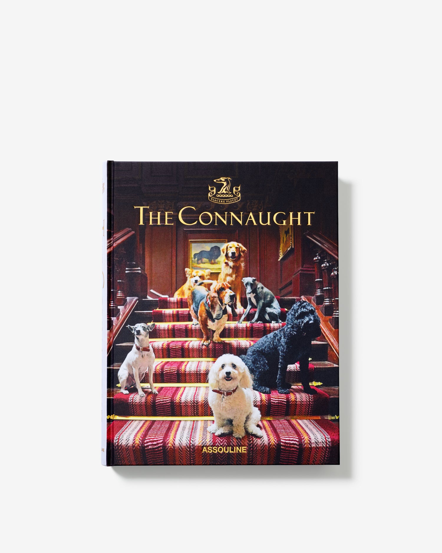 LONDON OF LIGHT THE [2012] アスリーヌ社 公式サイト ブック｜トゥモローランド GLORY PROVENCE ASSOULINE アート・デザイン・音楽