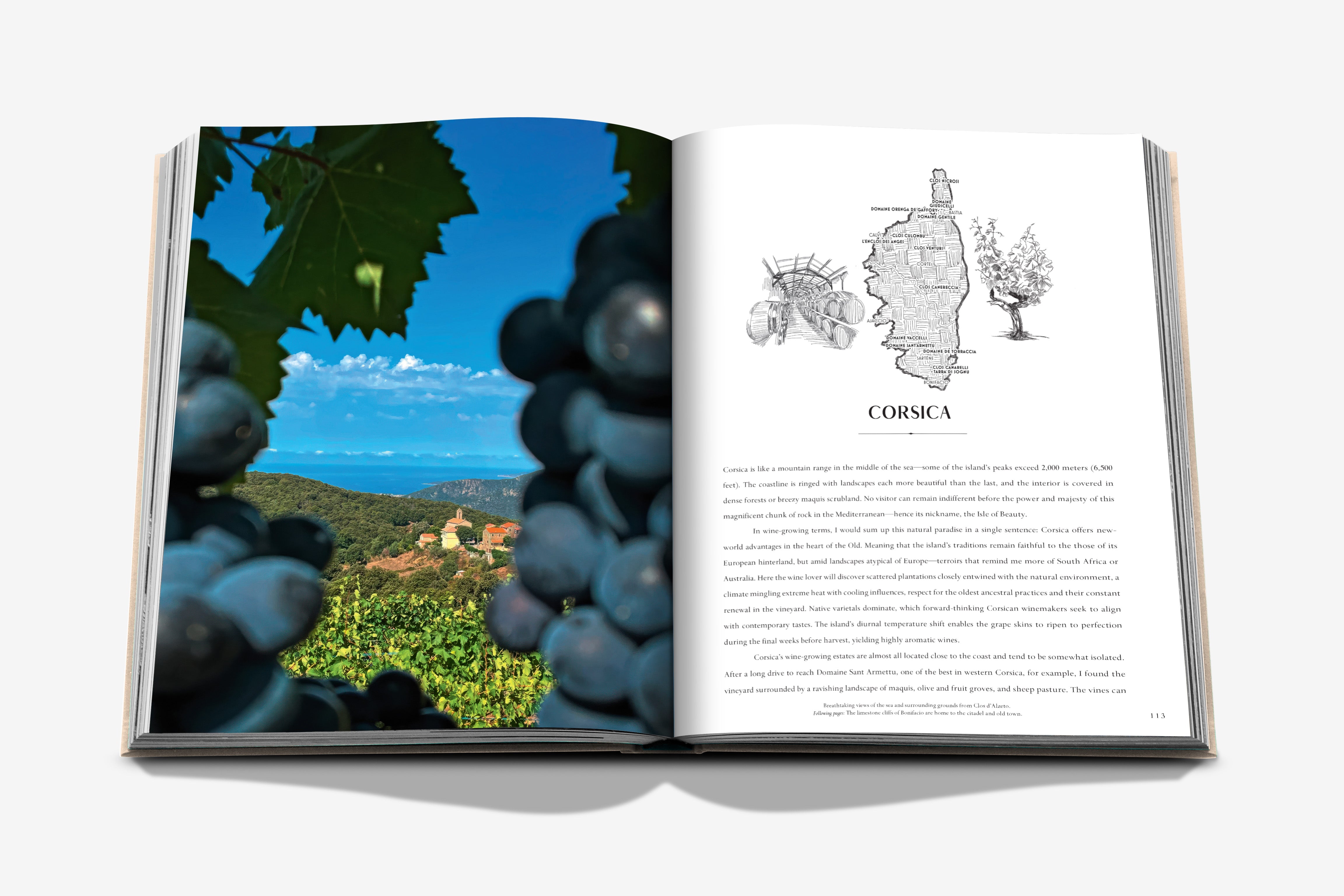 Wine & Travel France Coffee Table Book | ASSOULINE