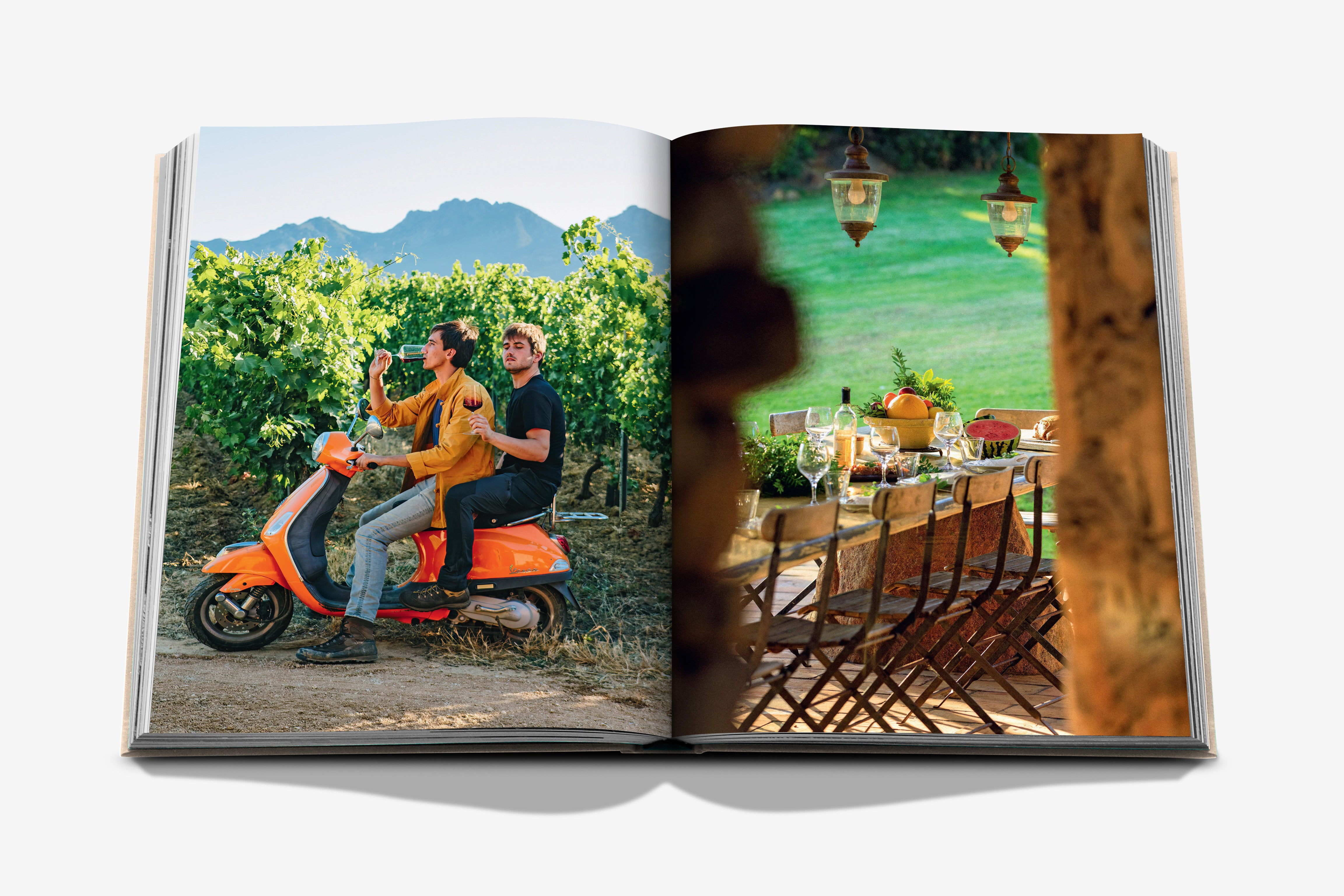 Wine & Travel France Coffee Table Book | ASSOULINE