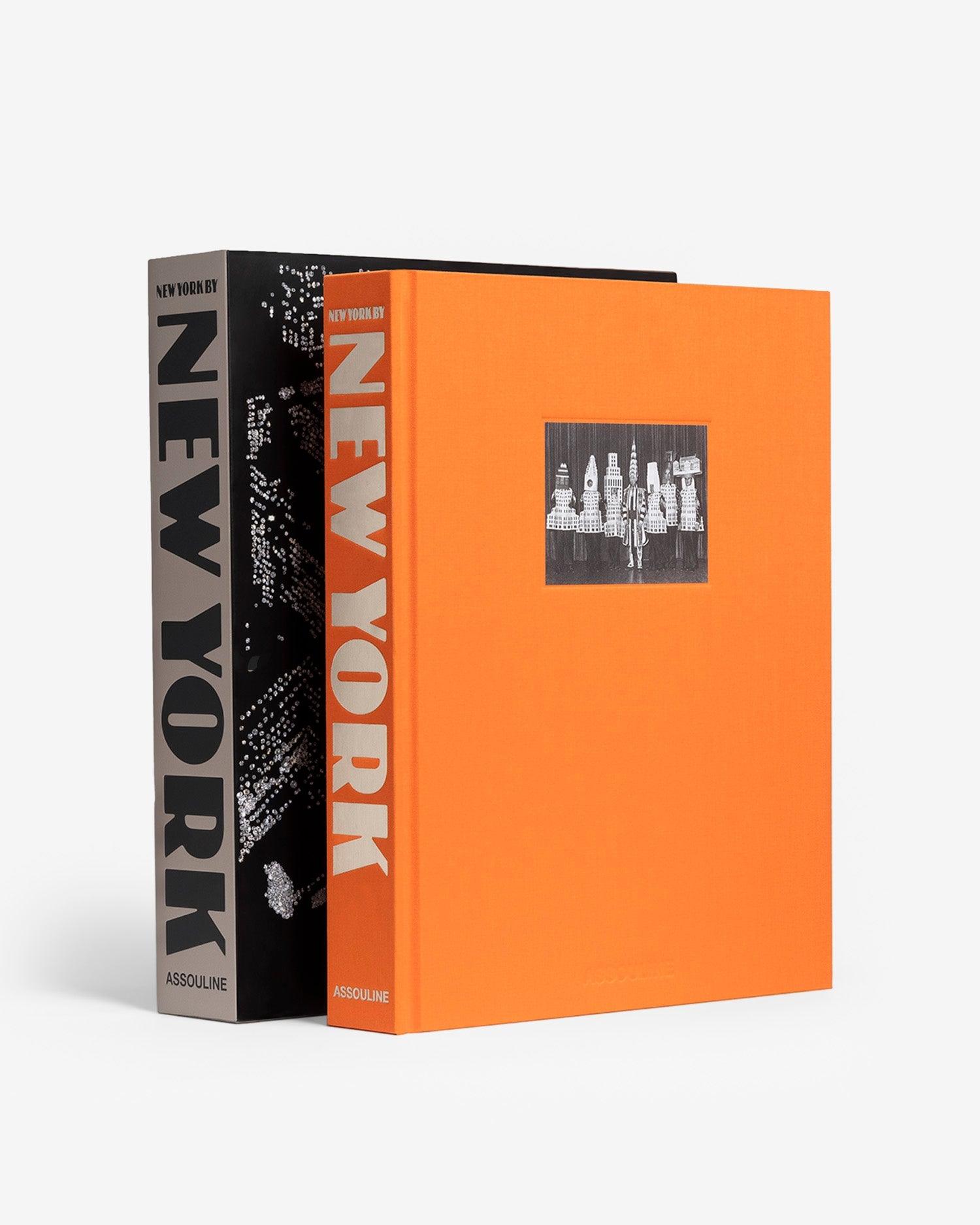 [2007] THE LIGHT OF NEW YORK アスリーヌ社 The Light of New York - Andre Aciman: 9782759401741 - AbeBooks