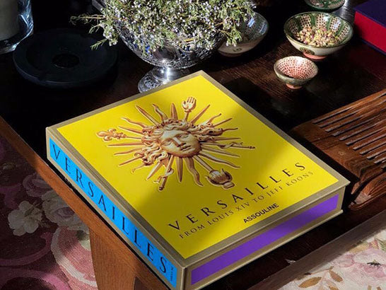 Versailles: From Louis XIV to Jeff Koons by Catherine Pégard and Mathieu da  Vinha - Coffee Table Book
